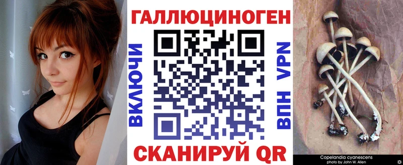 Псилоцибиновые грибы Psilocybine cubensis где купить наркоту kraken маркетплейс Сысерть